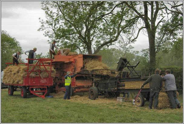 Photo: threshing at Hoveringham
