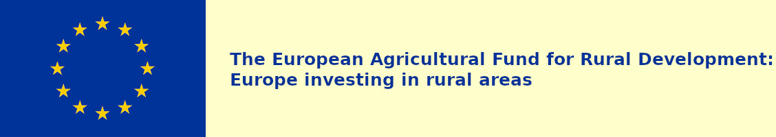 EU flag and funding statement (37.5kB)