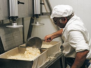 Photo: placing curds in a pressing box